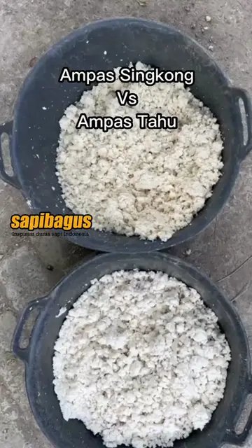 Ampas-Singkong-Vs-Ampas-Tahu